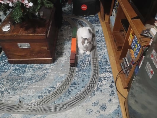 IMG_20260104_085606945