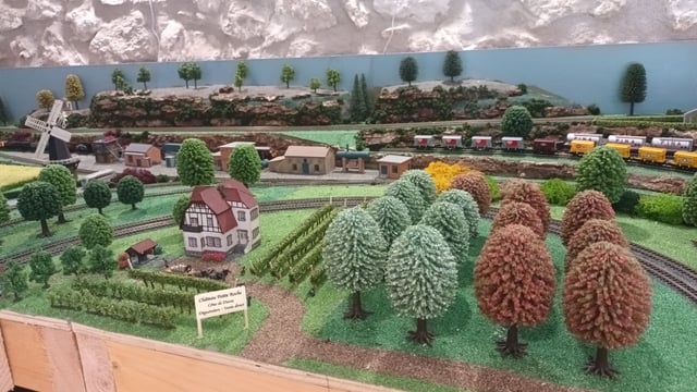 20240711_141202 copy