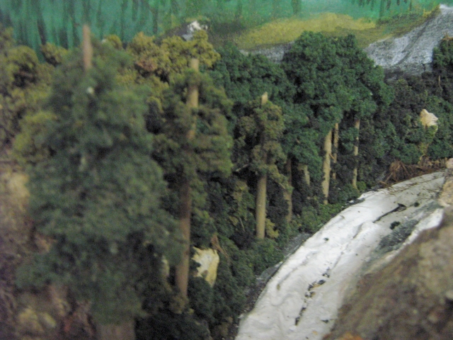 12mm forest 5