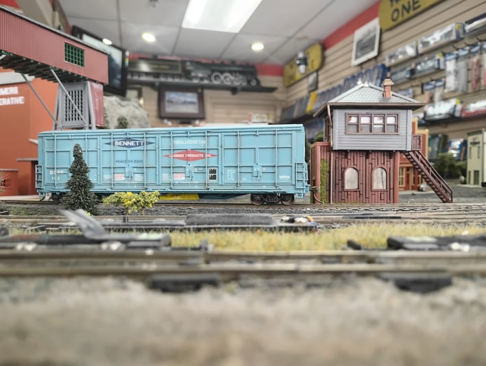 IMG_20260219_123034283_HDR