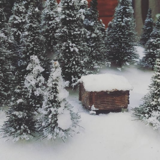 IMG_20180101_142815_758