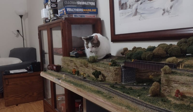 IMG_20240304_101215441