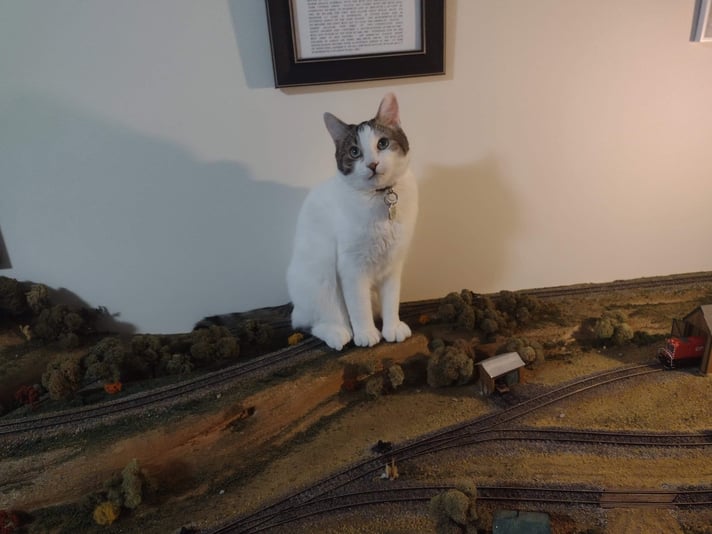 IMG_20240304_173146059