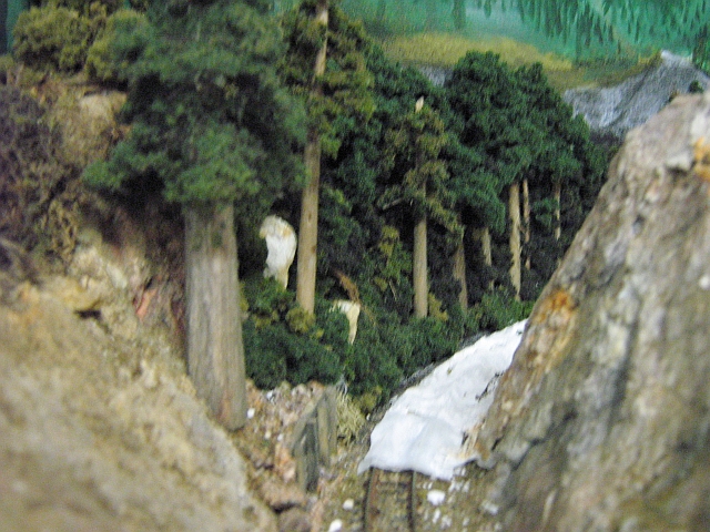 12mm forest 6