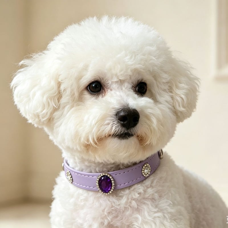 Rhinestone Pet Collar — supplier product photo 4