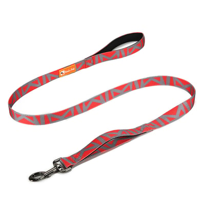 Patterned Nylon Dog Leash