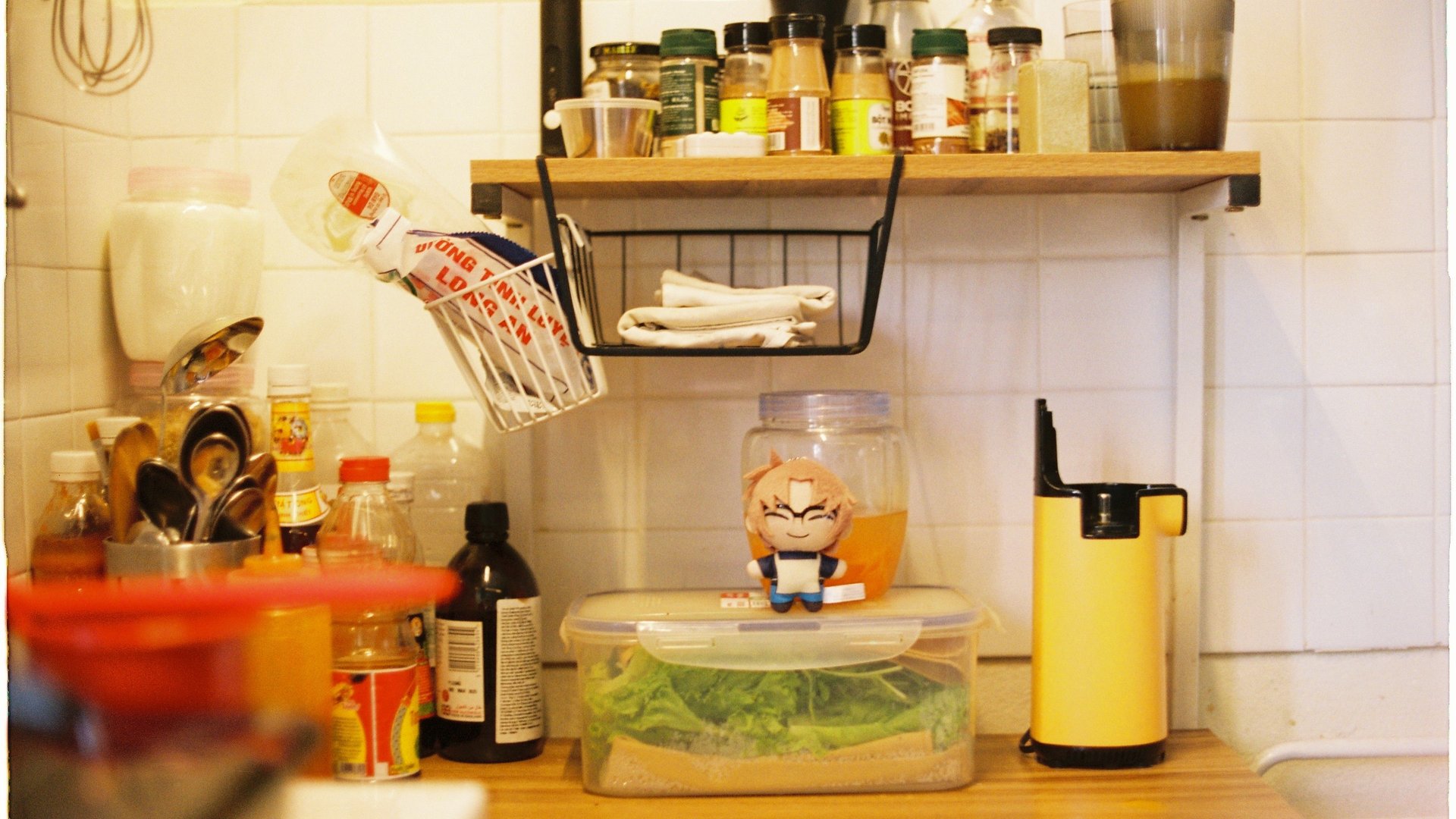 Small Kitchen Gadgets for Renters