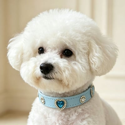 Rhinestone Pet Collar