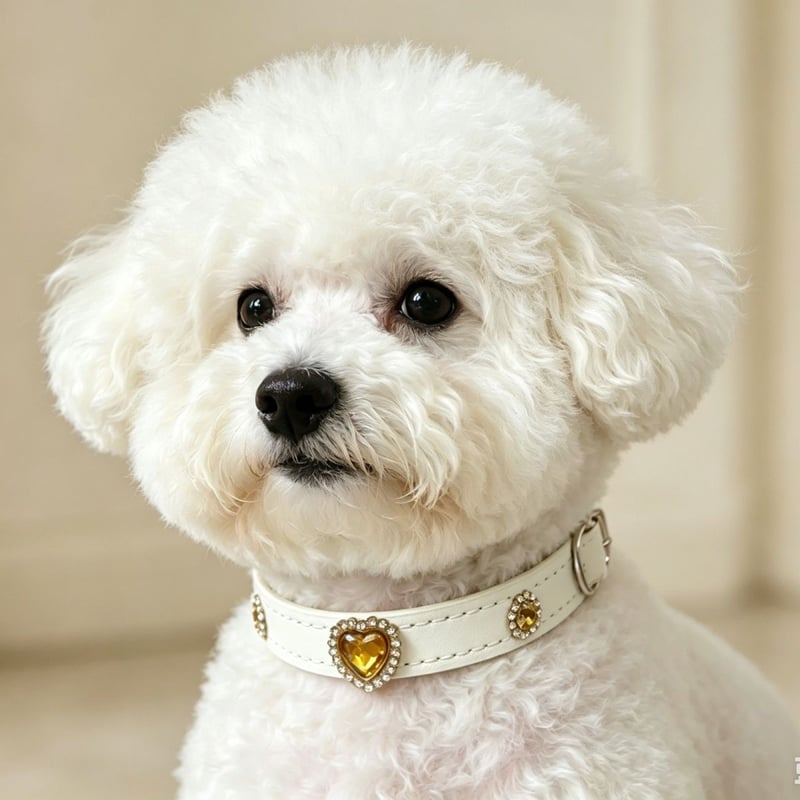 Rhinestone Pet Collar — supplier product photo 5
