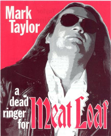 Mark Taylor Band image