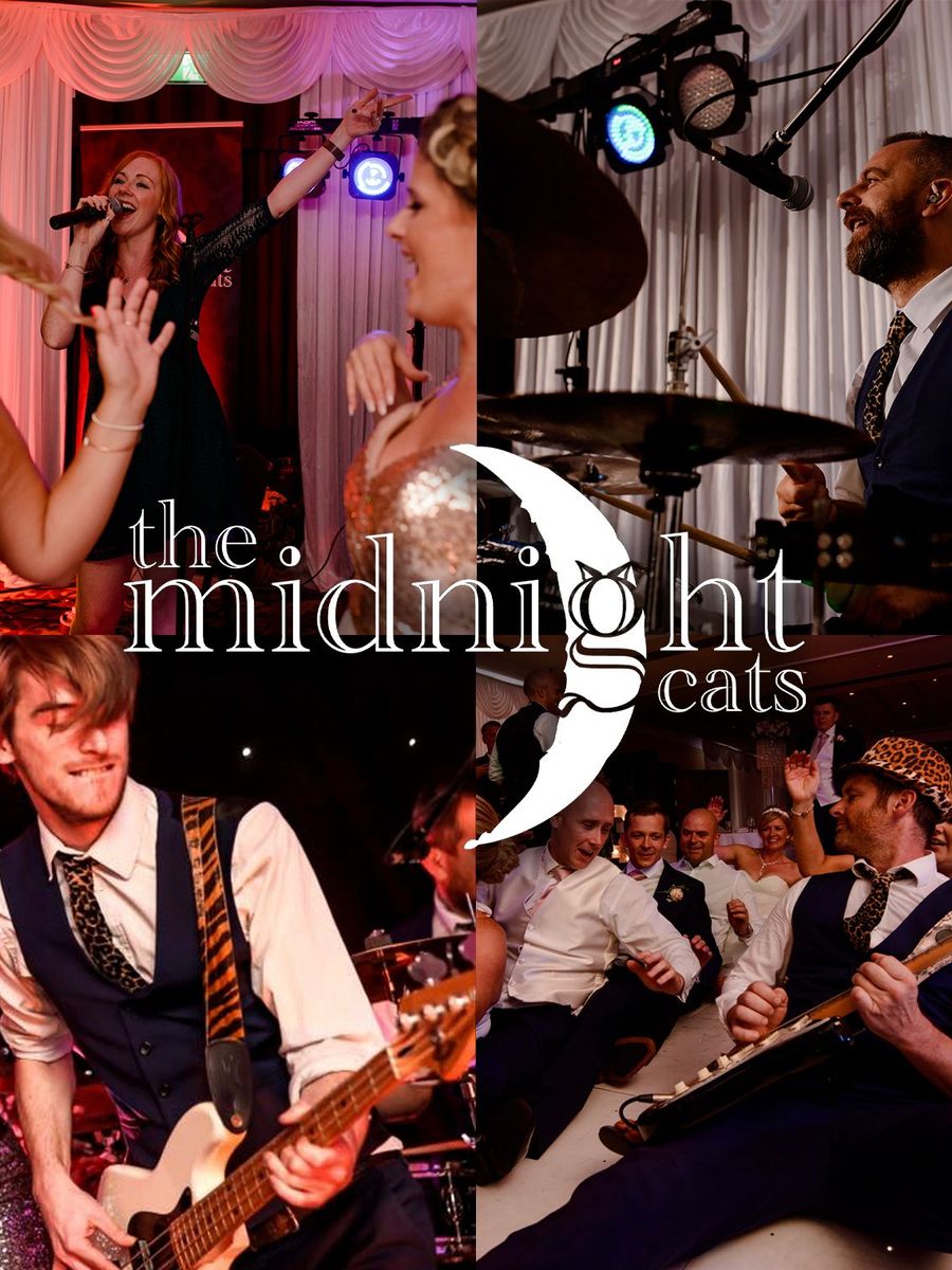 The Midnight Cats image
