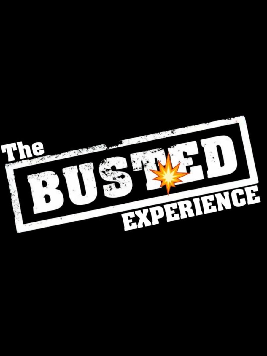 The Busted Experience image