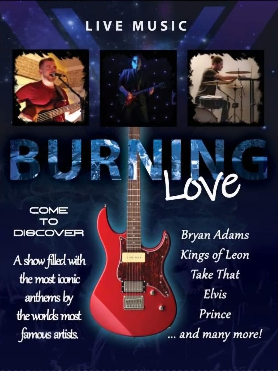 Burning Love image