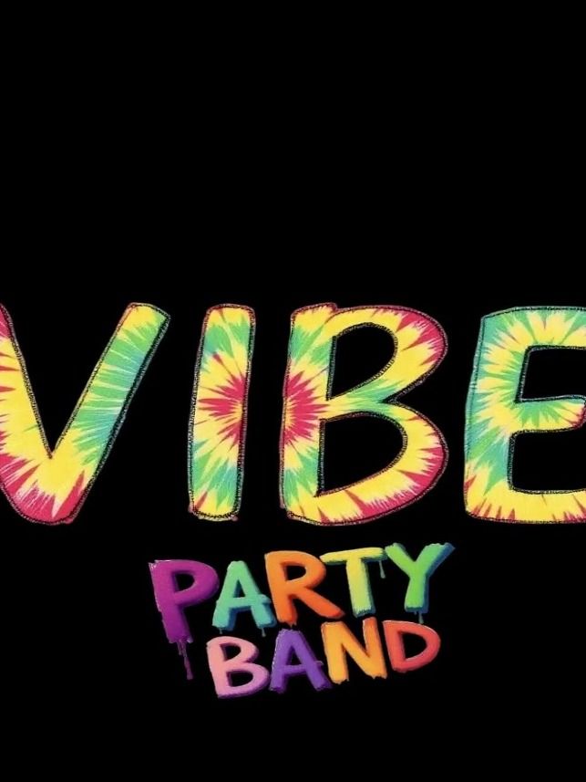 Vibe Party Band image