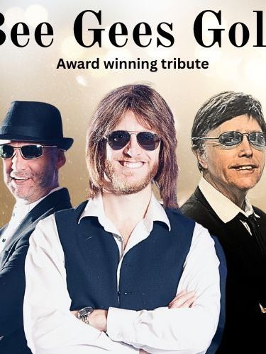 Bee Gee's Gold Tribute image