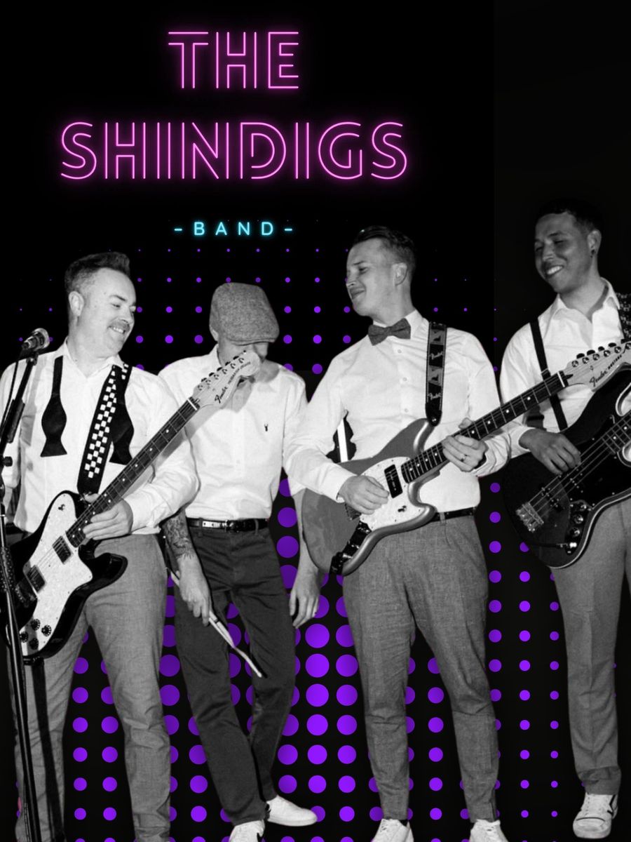 The Shindigs  image