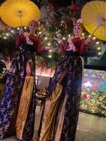 Oriental Stilt Walker image