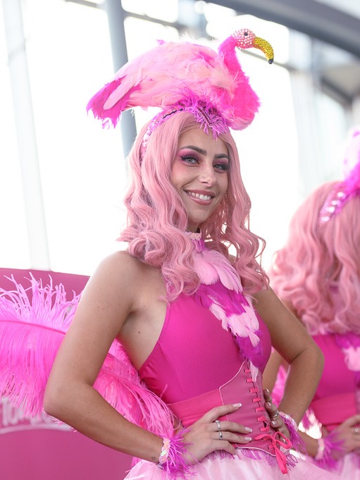 Flamingo's image
