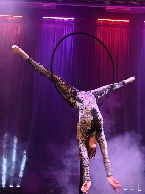 Aerial Hoop image