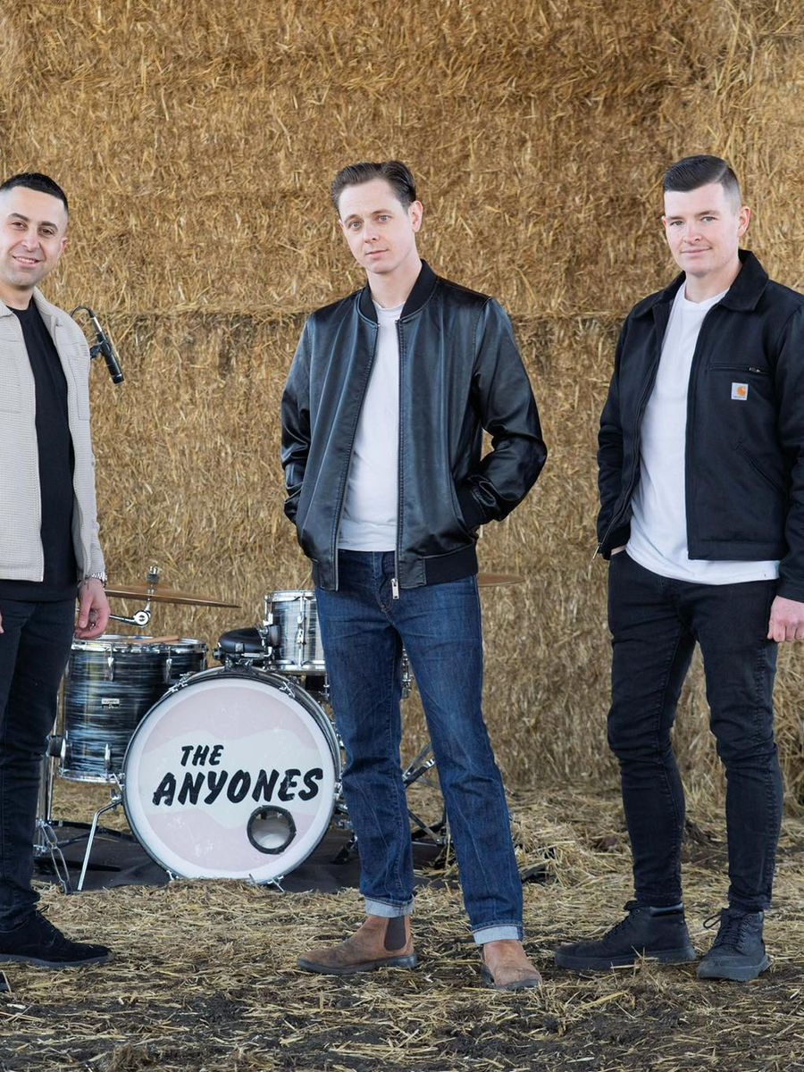 The Anyones image