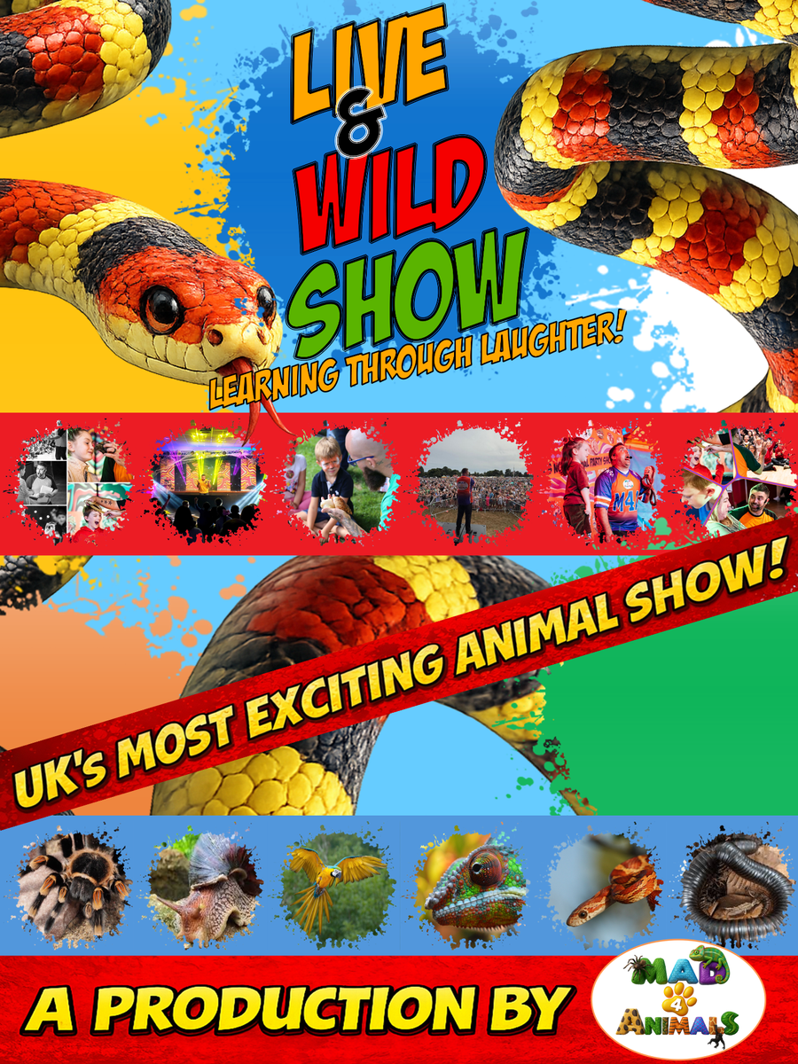The Live and Wild Show  image