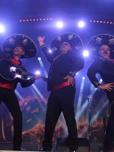 The Burritos image