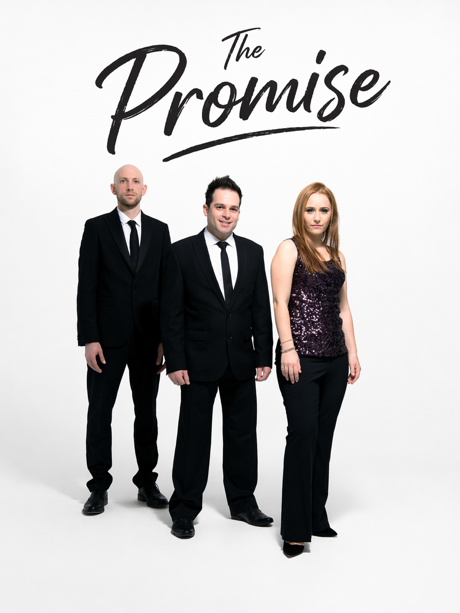The Promise  image