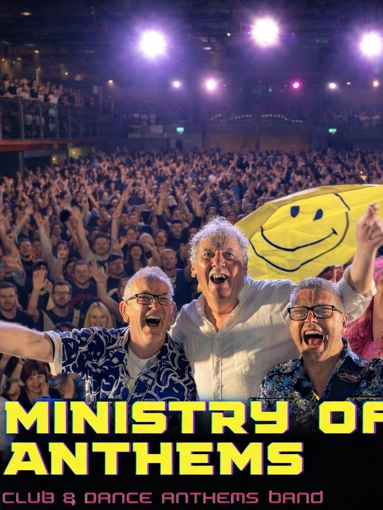 Ministry Of Mayhem image