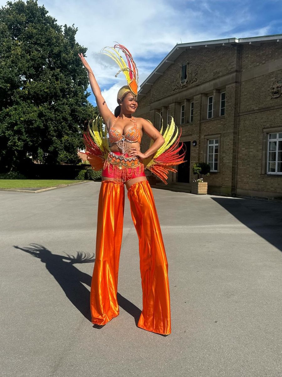 Orange & Yellow Feathers image