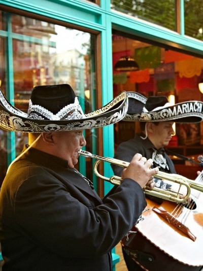 Live Mariachi Band  image