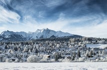 Флимс Лакс Фалера