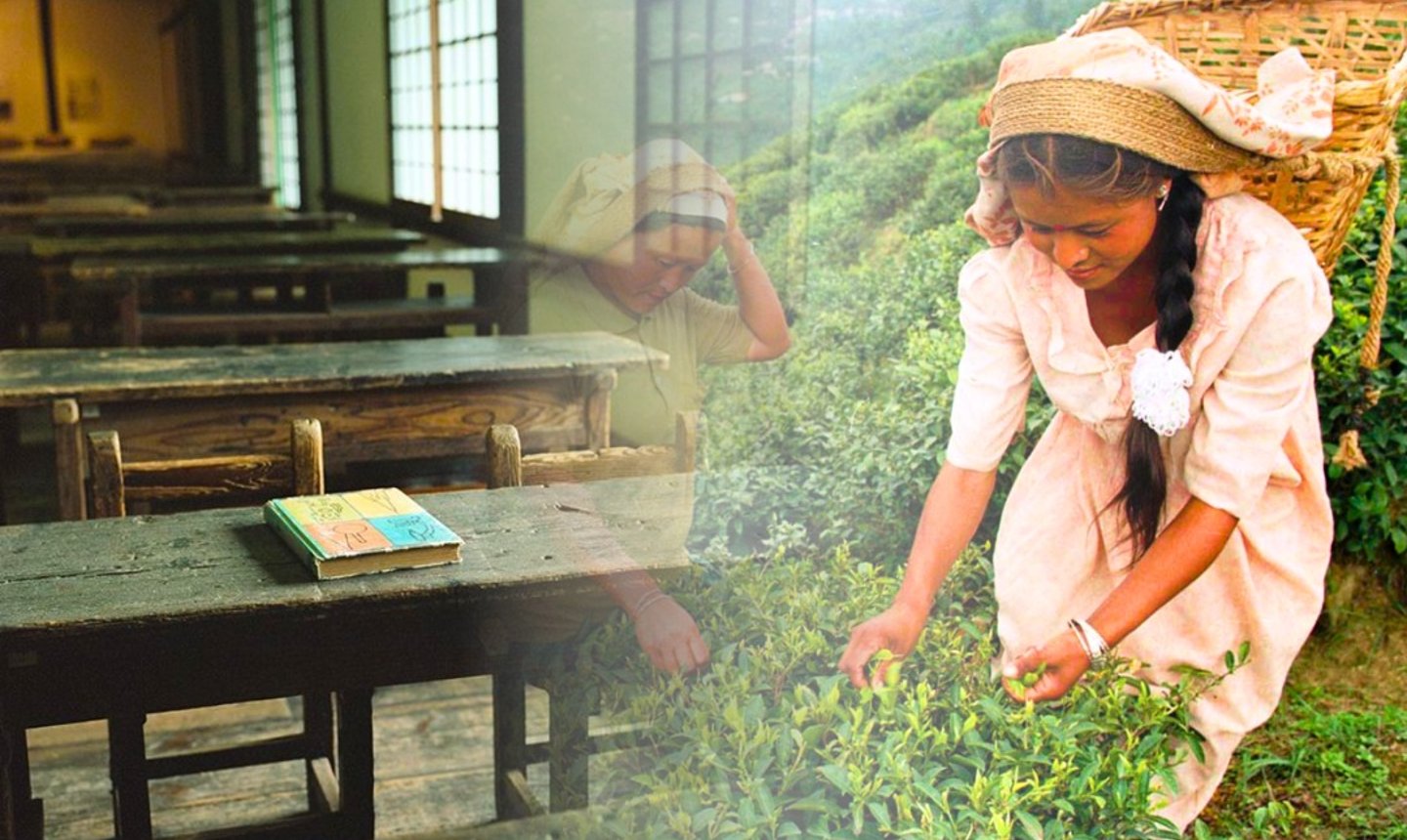 When education has to wait: growing up in a tea garden in the Dooars