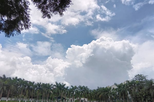 Alokparna Saha