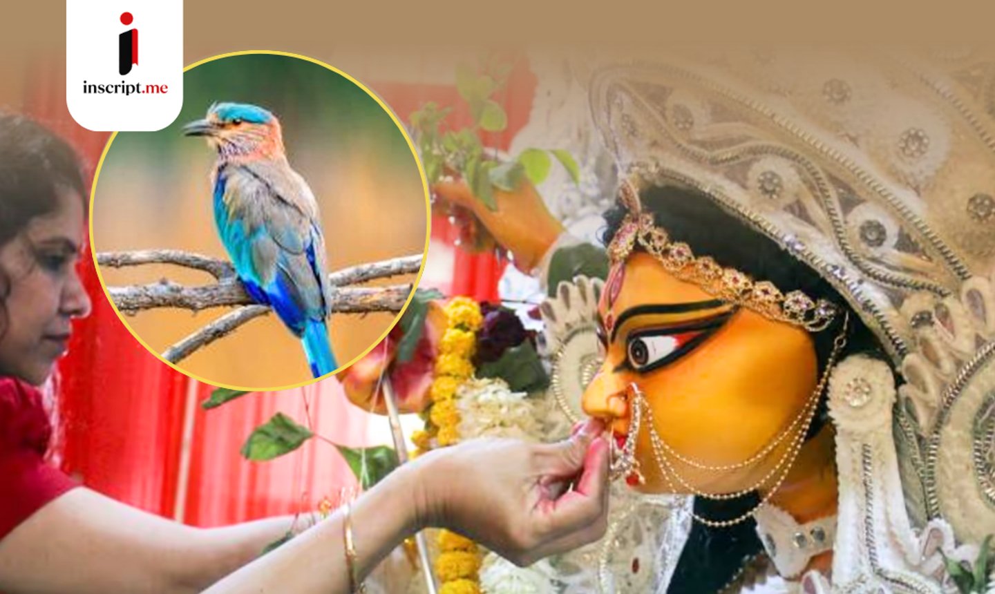 বনেদি আভিজাত্যে বিলুপ্তির পথে নীলকণ্ঠ পাখিরা! দশমীর দিনে কেন ওড়ানো হয় এই বিশেষ পাখি?