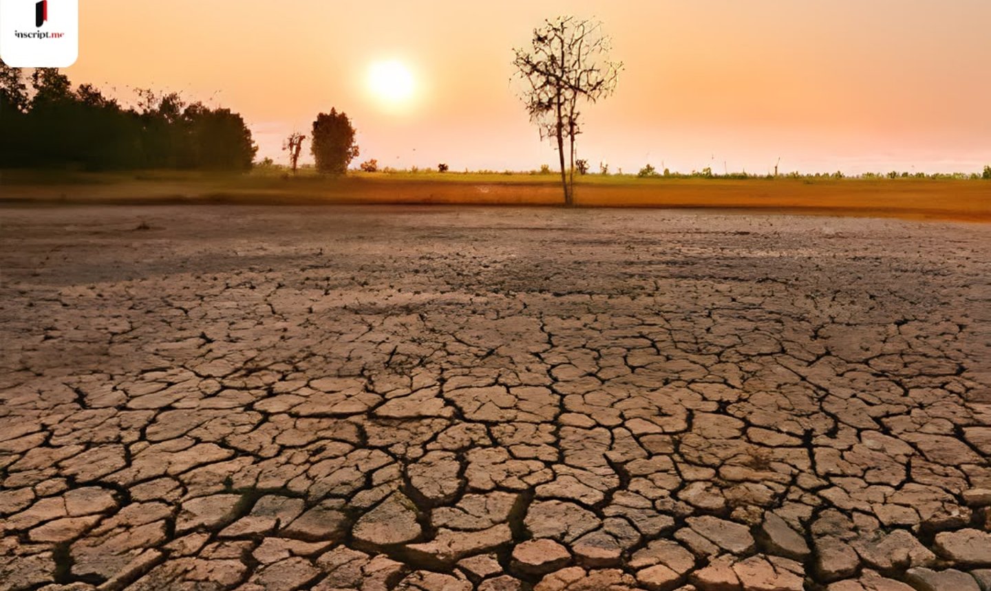 El Niño’s Asian warning: Pacific Ocean connection reaching India’s food markets
