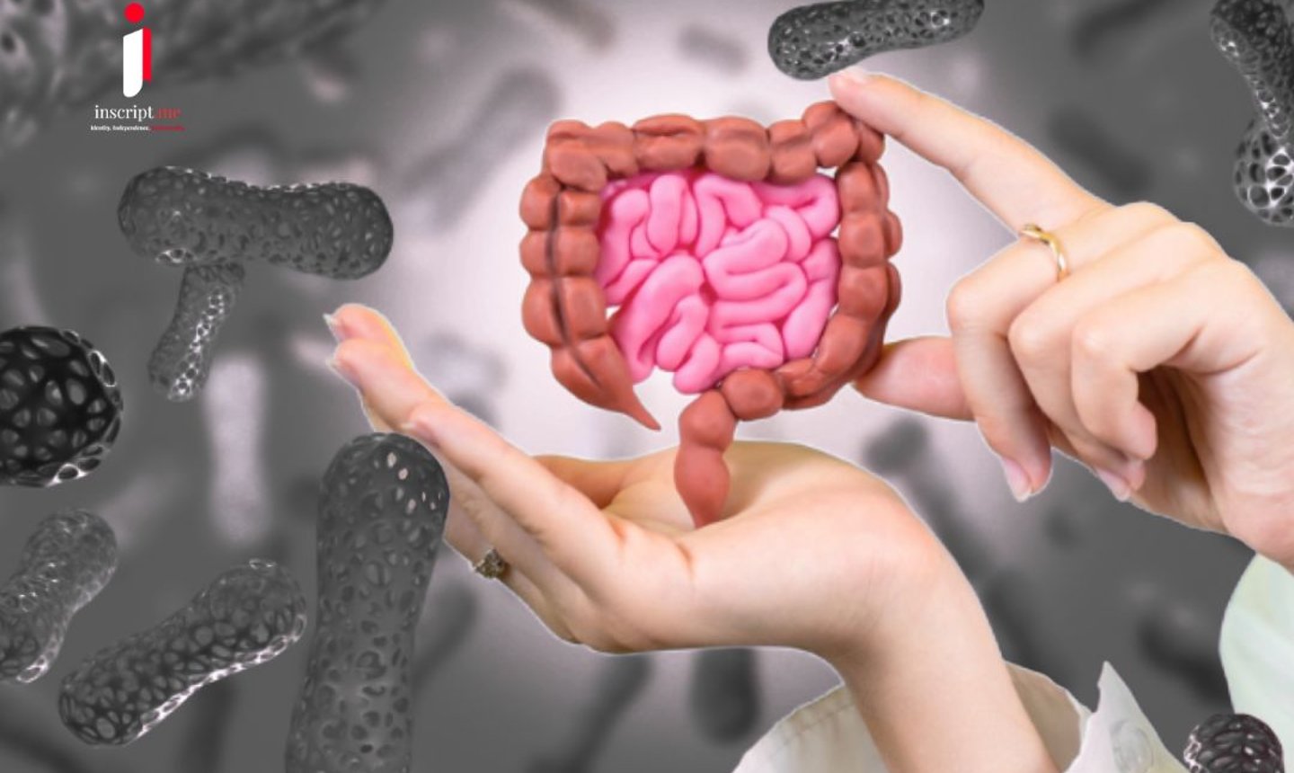 IBD রোগীদের জন্য সুখবর! অন্ত্রের নতুন ‘মাস্টার সুইচ’ আবিষ্কার করলেন বিজ্ঞানীরা