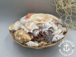 Muschelkorb 20cm Durchmesser, Geschenk, Sand, Strand 1-1.jpg