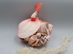 Muschelbeutel Netz groß gefunden, souvenir, Muscheln, Ozean 255122_s (1)