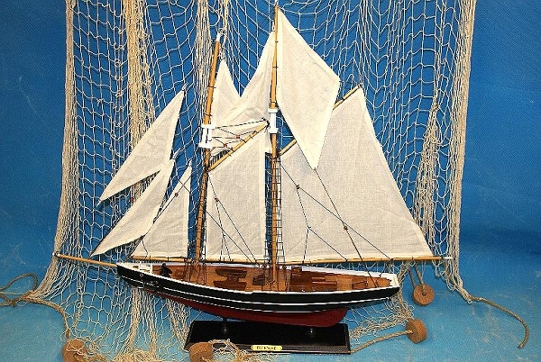 237243_s