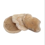 Teak Bastel- und Schneidebrett natur und sägerauh ca. 30-35 cm Höhe 1,8 - 2,5 cm knoops8740
