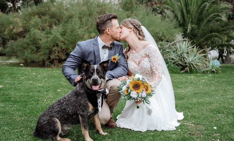 Weddings bride groom and dog