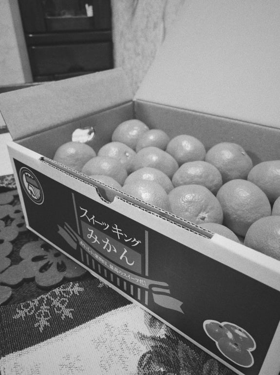 Some "Sweet King Mikan" Tangerines from Ehime Prefecture