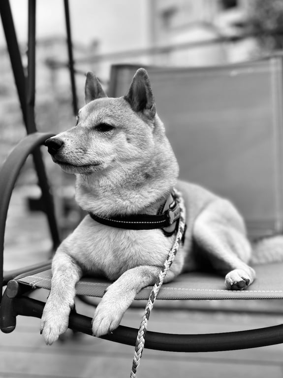 Cute cable bite from my daughter