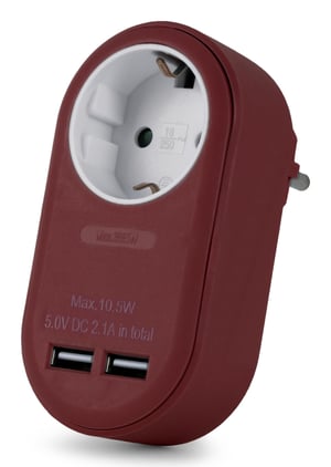 Entac EPAG-1EE-2USB-BR adapter wtyczek zasilających Typu F Bordowy