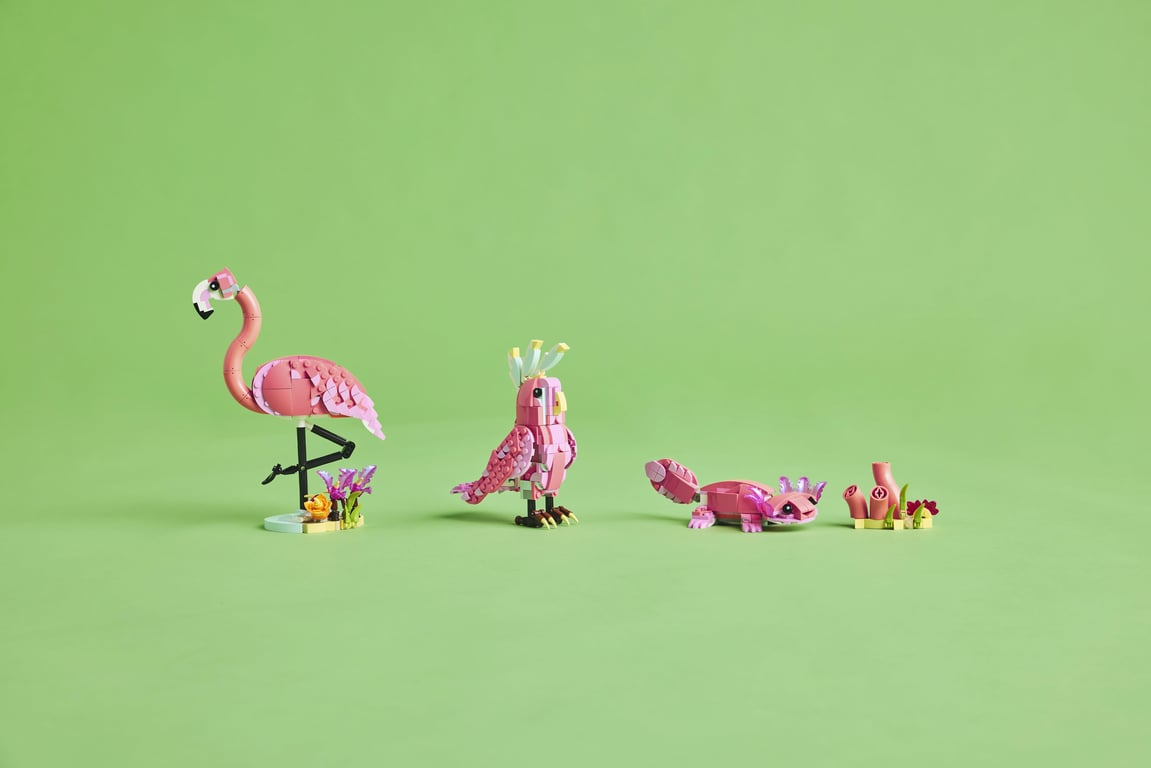 LEGO Creator Dzikie zwierzęta: różowy flaming
