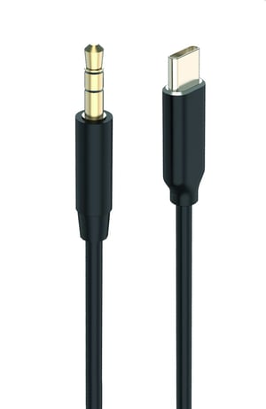 2GO 797219 kabel audio 1 m 3.5mm USB Type-C Czarny