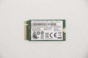 Lenovo 5SS0W76183 256 GB M.2 PCI Express 3.0 NVMe SSD