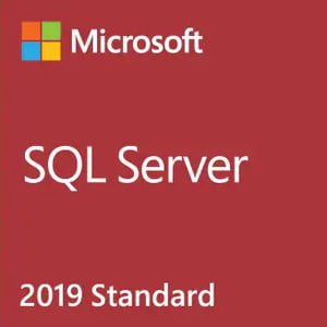 Microsoft SQL Server 2019 Standard Database 1 x license