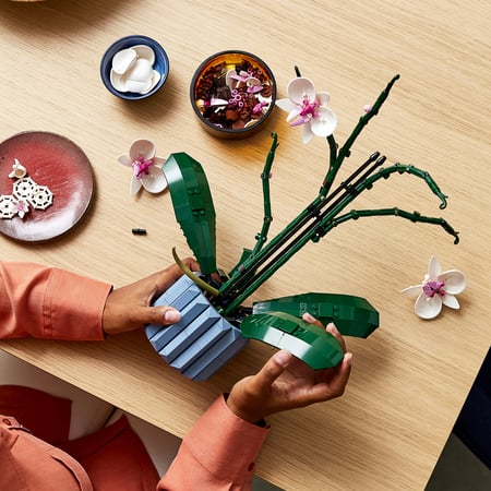 LEGO Botanicals Orchidea
