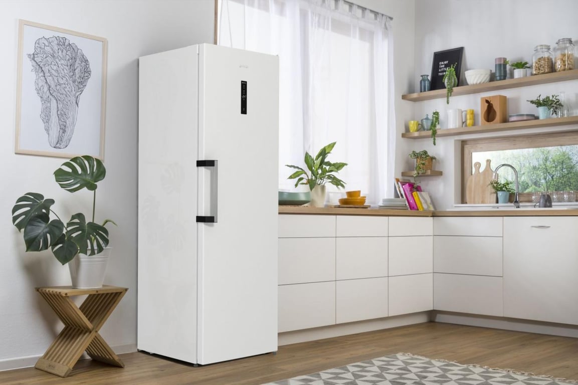 Gorenje FN619EAW6 Zamrażarka wolnostojąca Wolnostojący 280 l Biały